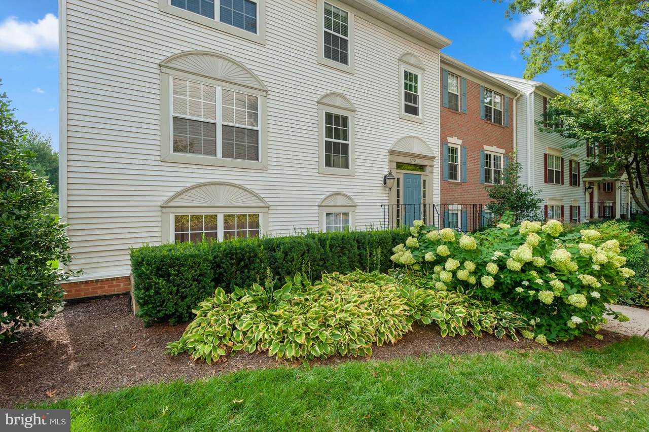 12101 Green Leaf Court - Photo 1