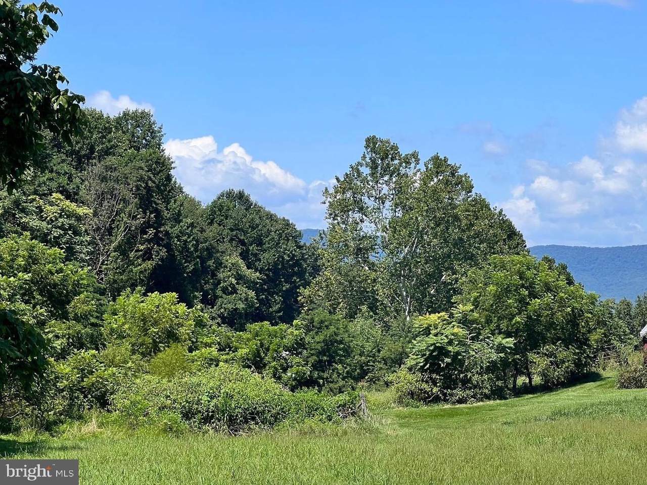 Skyline Forest Drive - Photo 1
