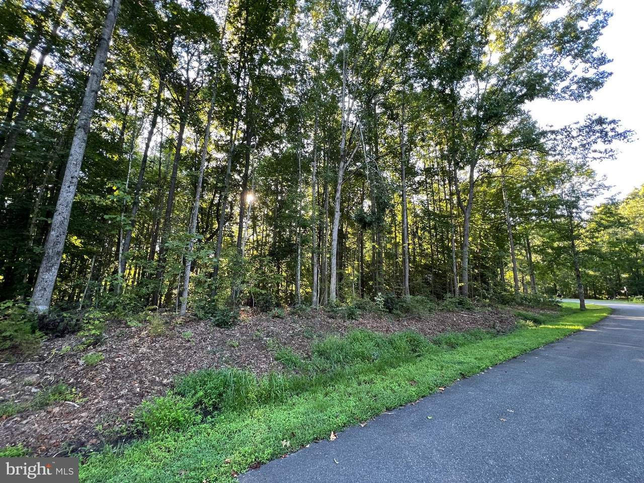 15407 Drummers Lane - Photo 1