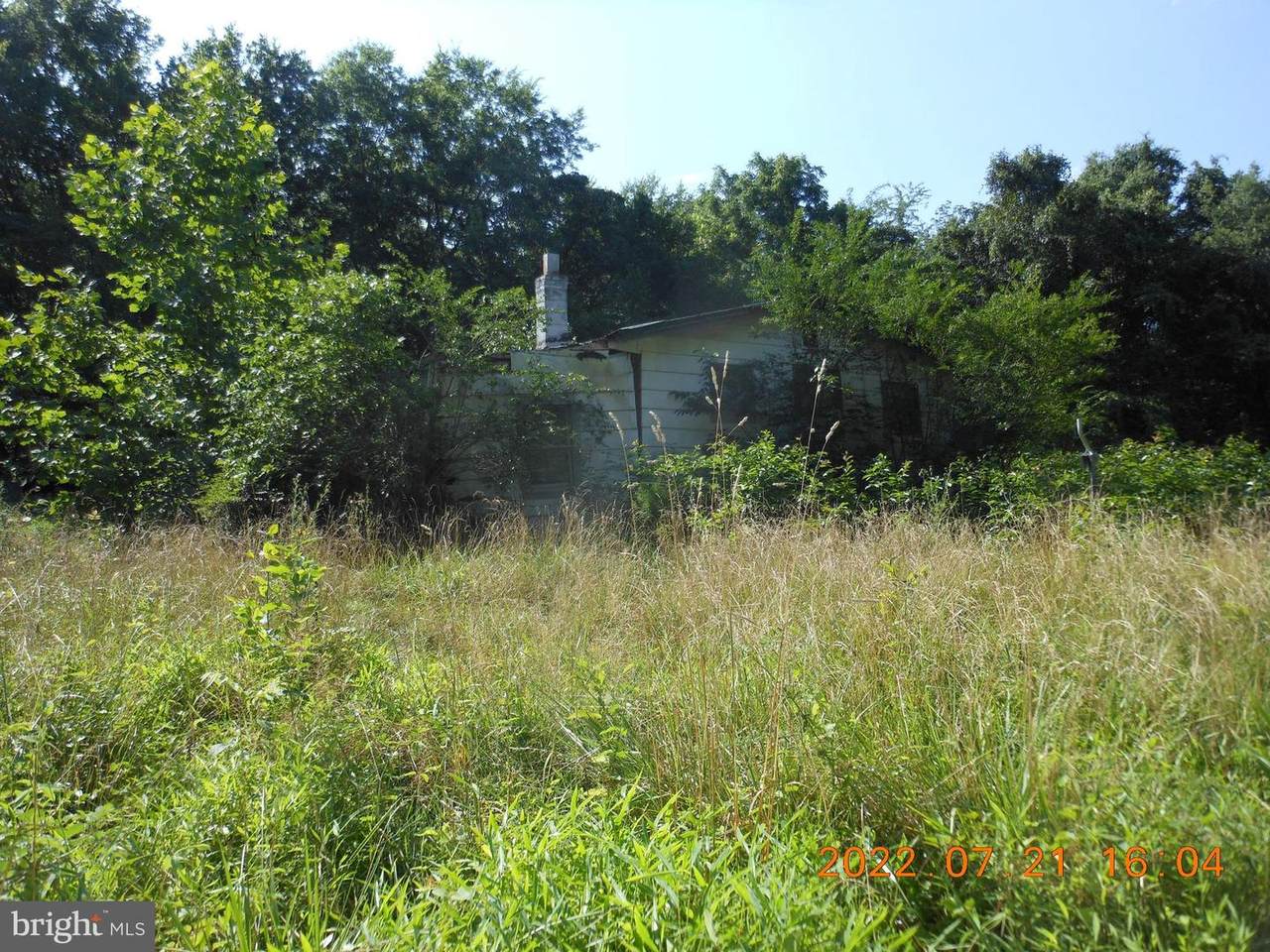 13511 Raccoon Ford - Photo 1