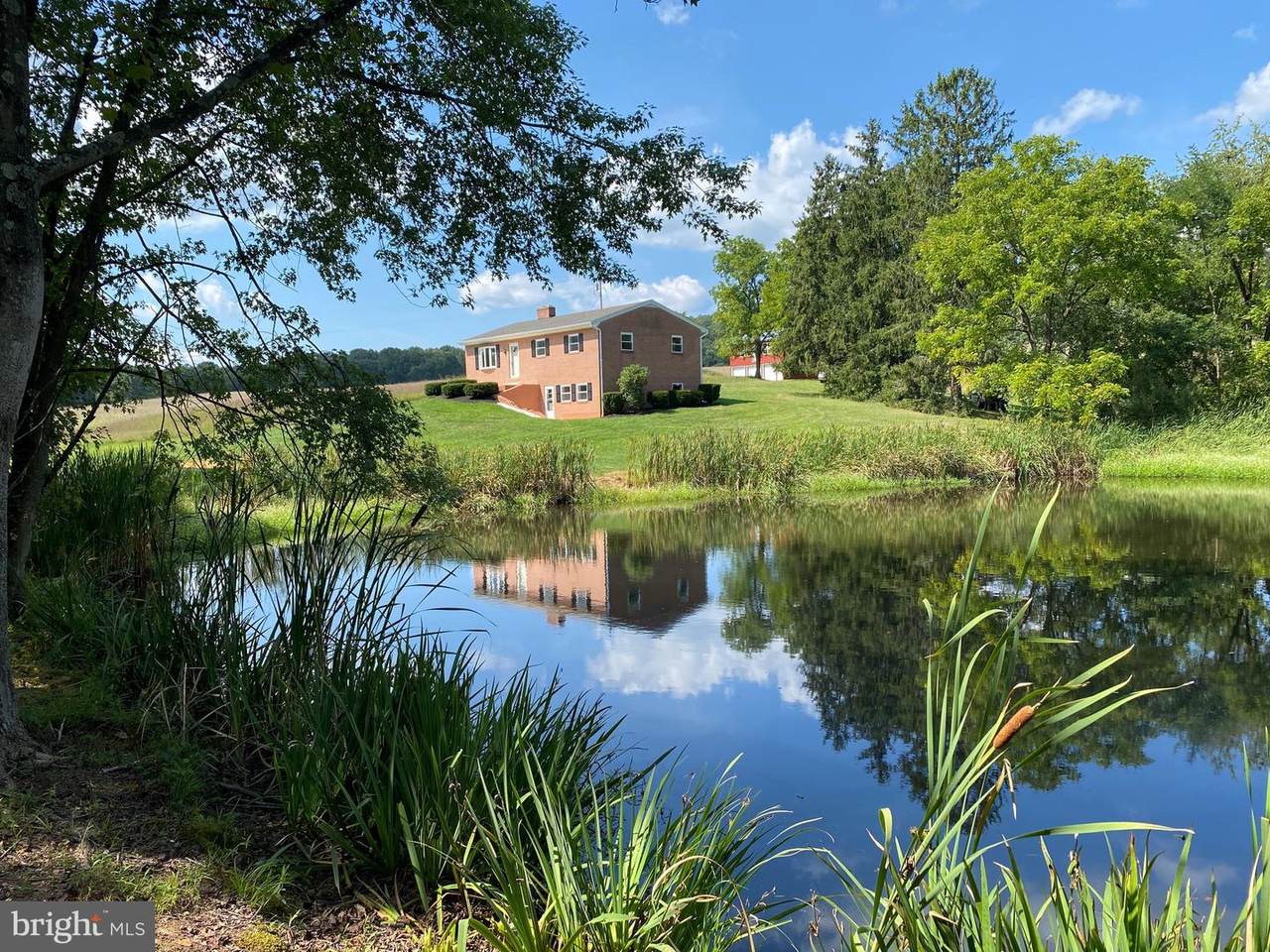 595 Tub Run Hollow Road - Photo 1