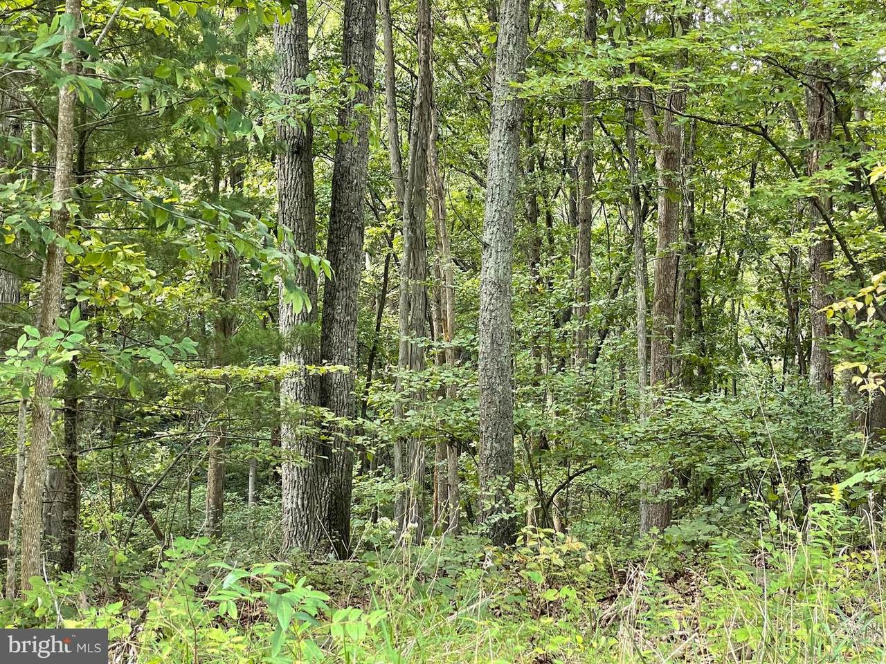 Hanging Rock Road - Photo 1