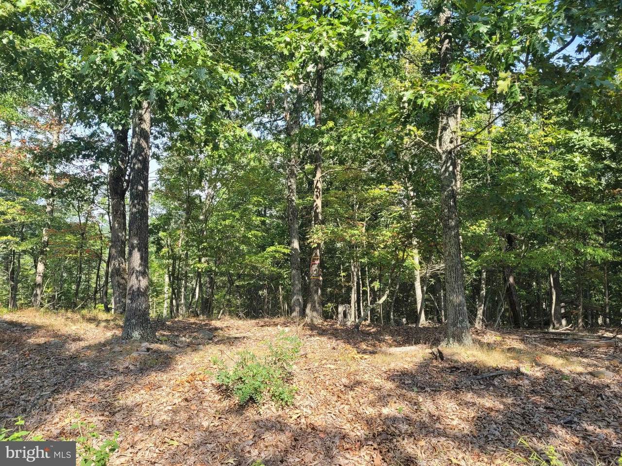 Lot 17 Cabin Run Rd. - Photo 1