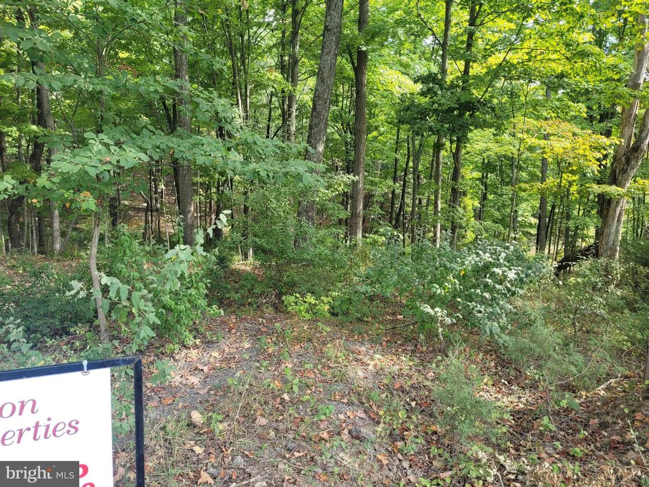 Lot 1 Cabin Run Rd. - Photo 1