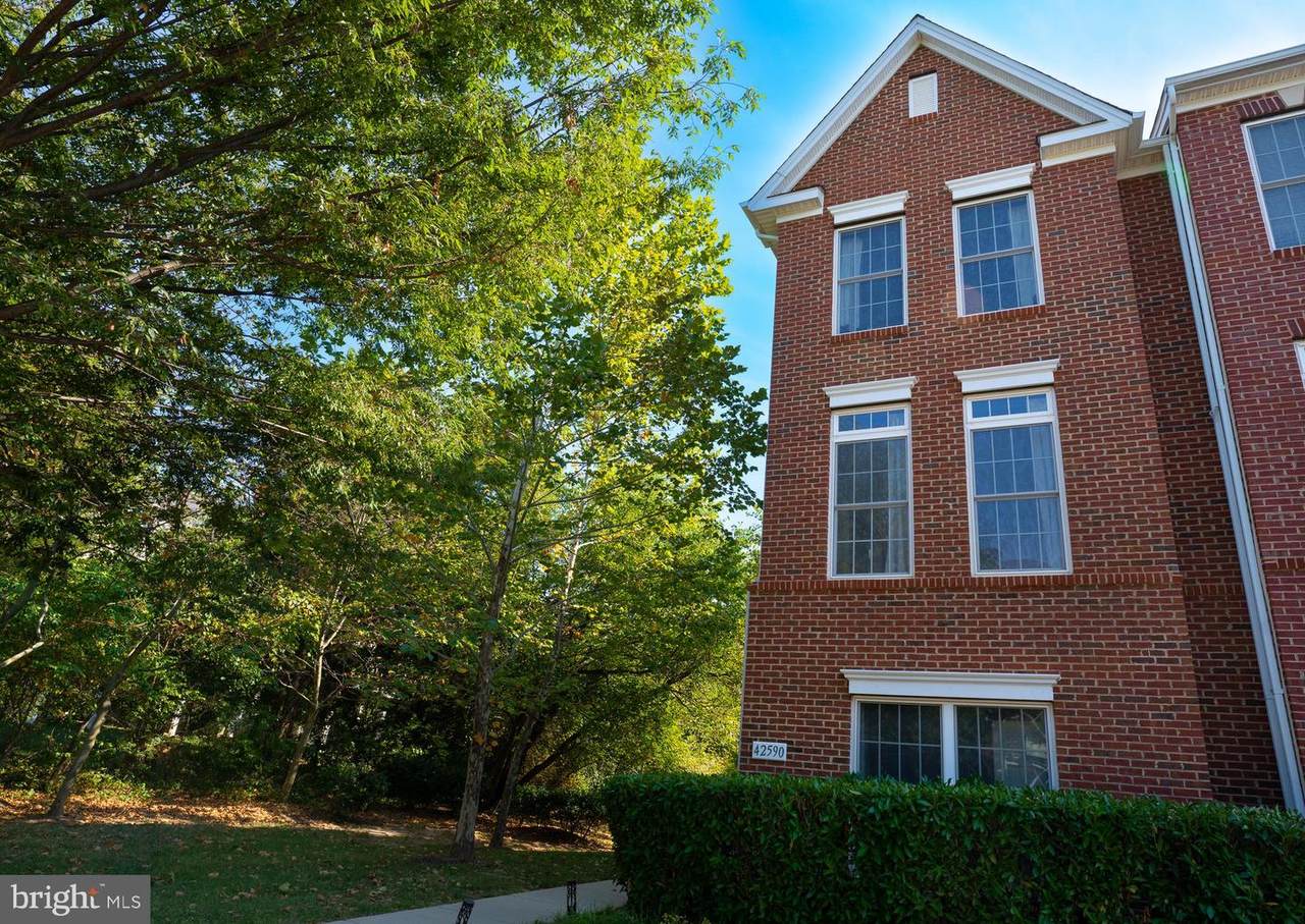 42590 Pine Forest Drive - Photo 1