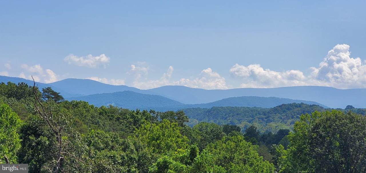 Lot 13 Panhandle Road - Photo 1