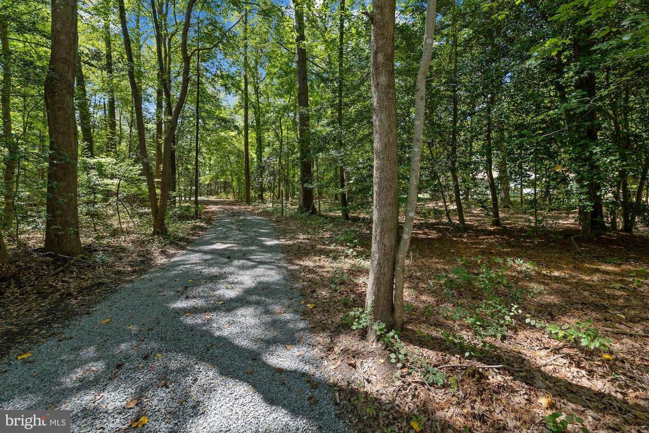 24268 Deep Branch Road - Photo 1