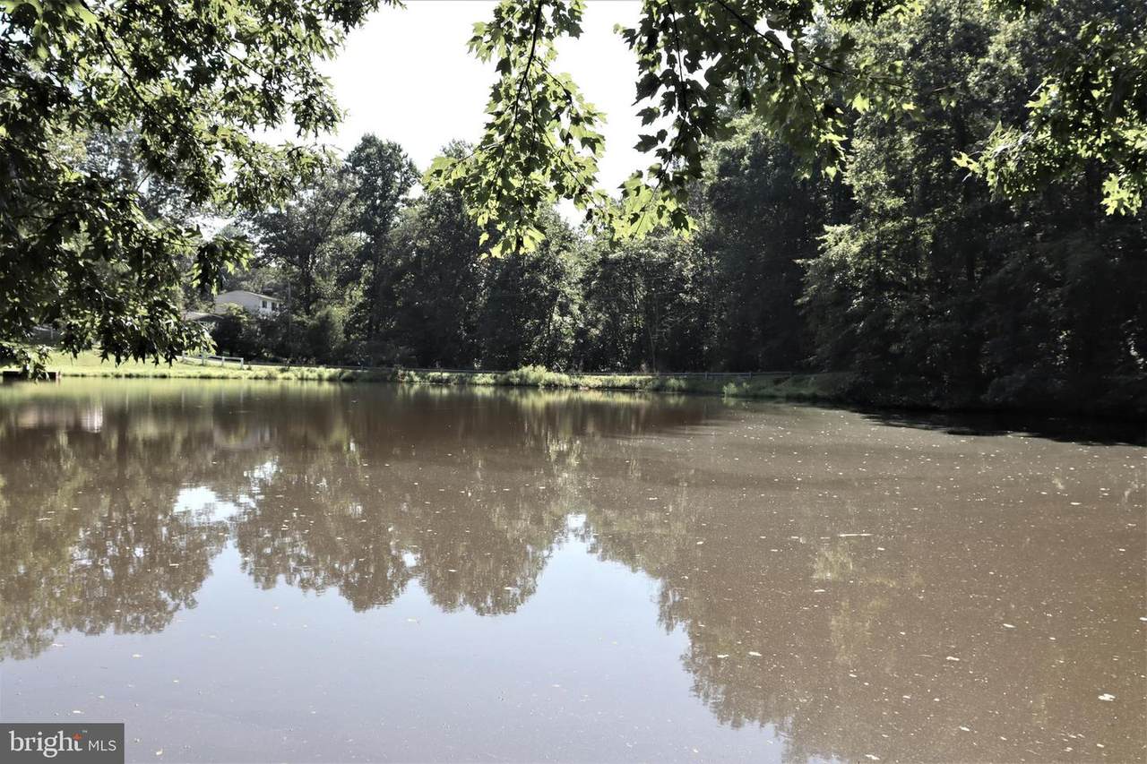 0 Laurel Lakeview Drive - Photo 1