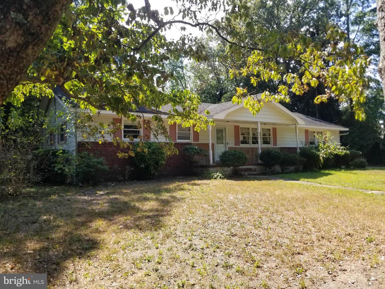 106 Primrose Lane - Photo 1