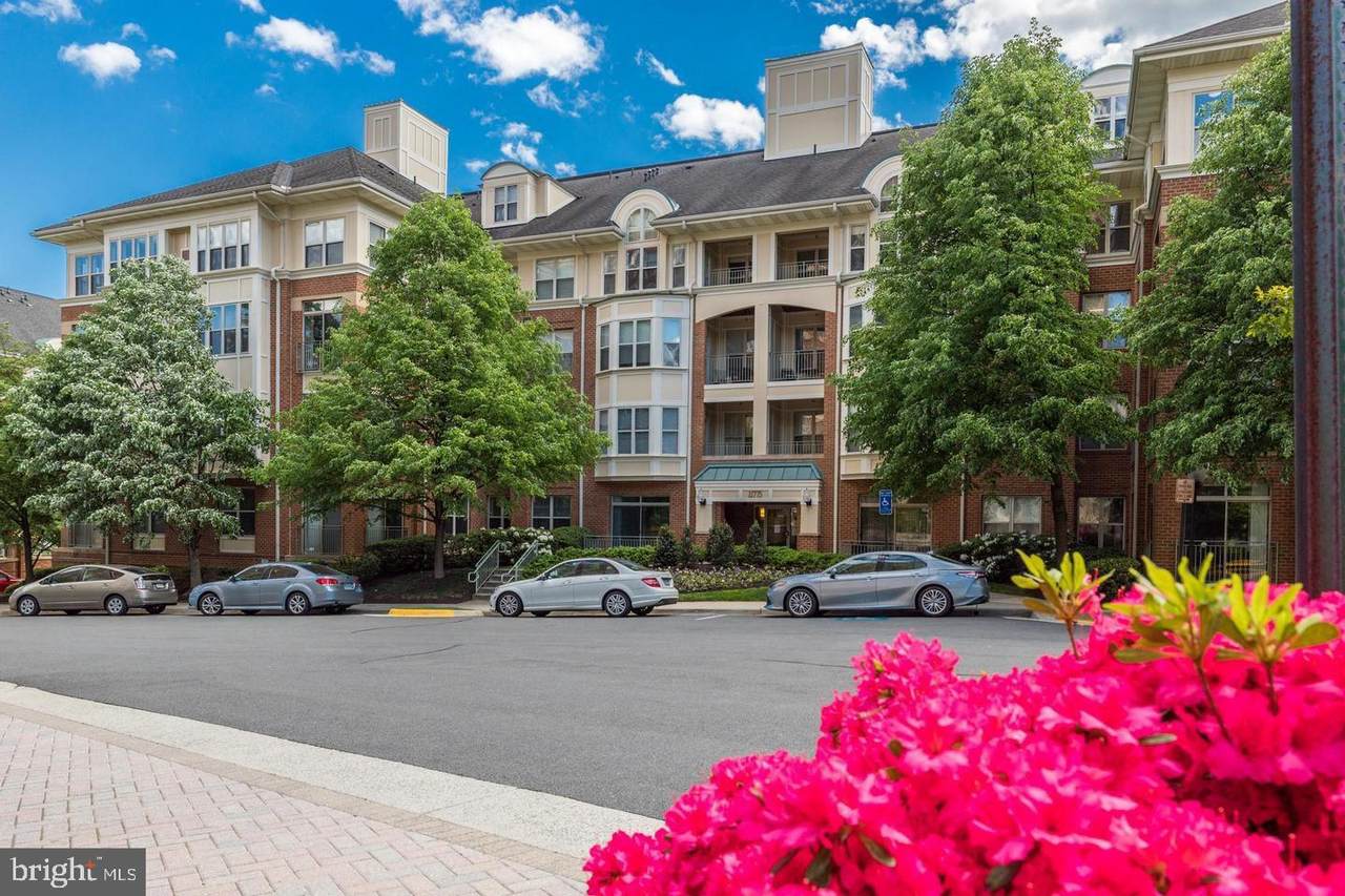 11775 Stratford House Place - Photo 1