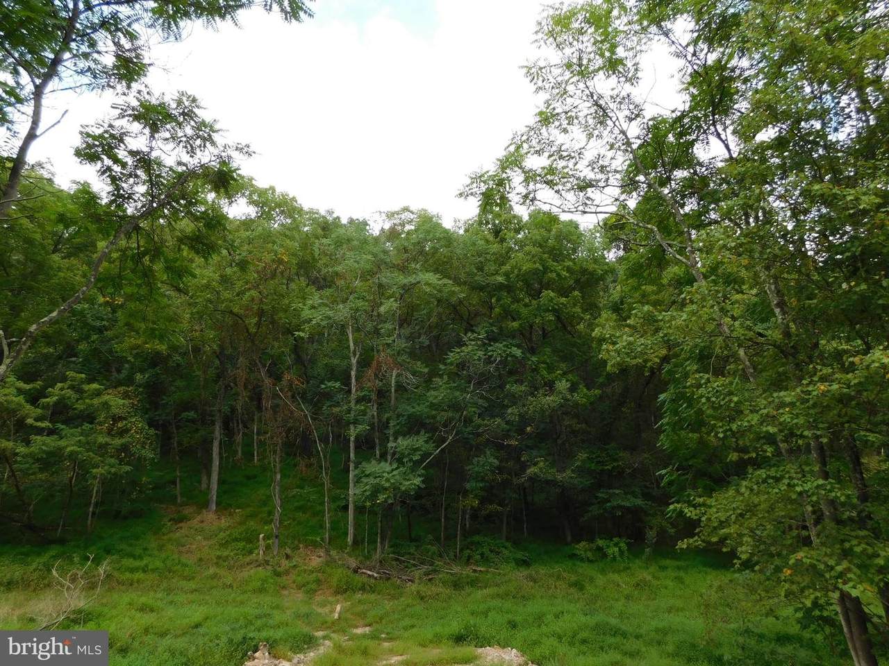 I Mountain Lake Road - Photo 1