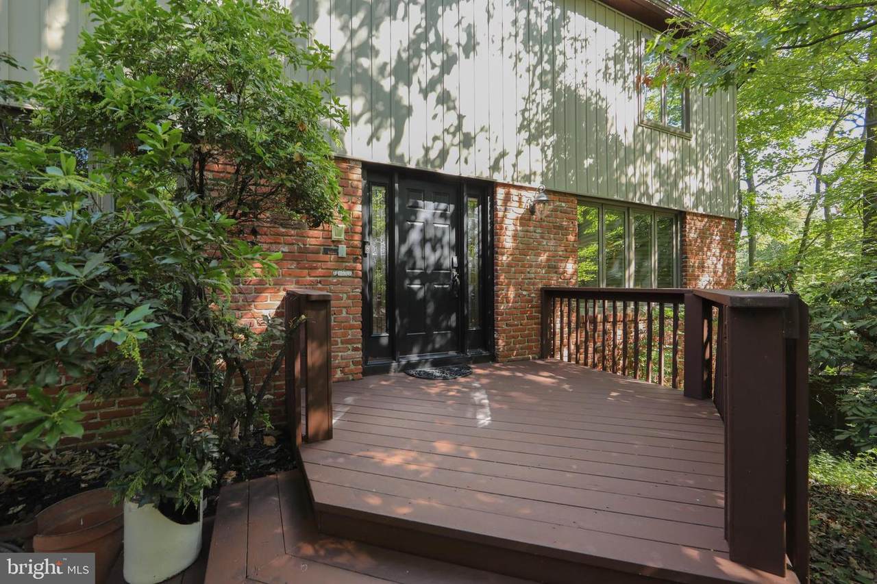1913 Owl Court - Photo 1