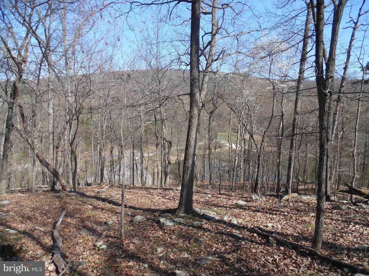 Lot 79 Gussin Way - Photo 1