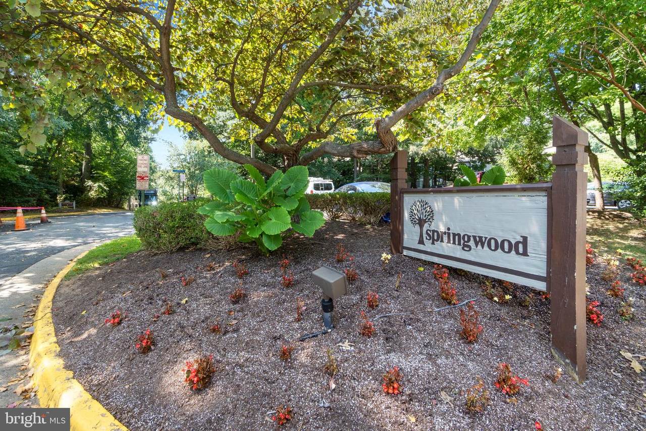 11735 Ledura Court - Photo 1