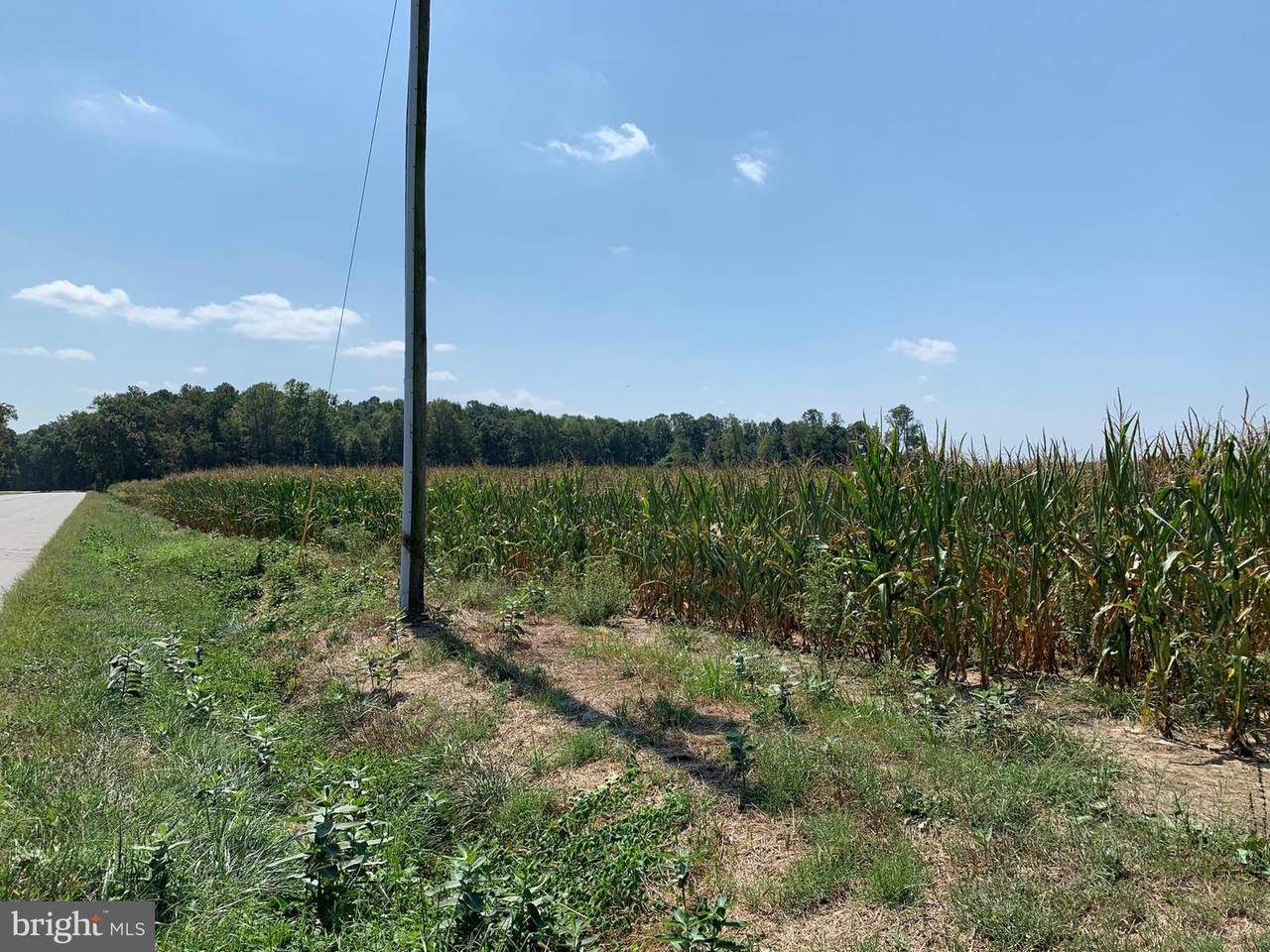 0 Federalsburg Highway - Photo 1