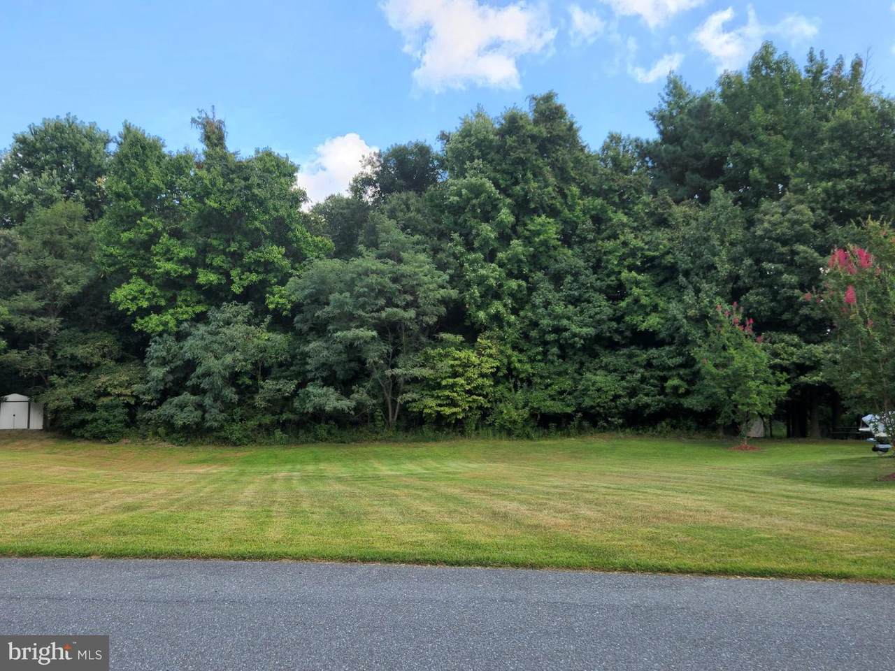 6712 Stonehill Road - Photo 1