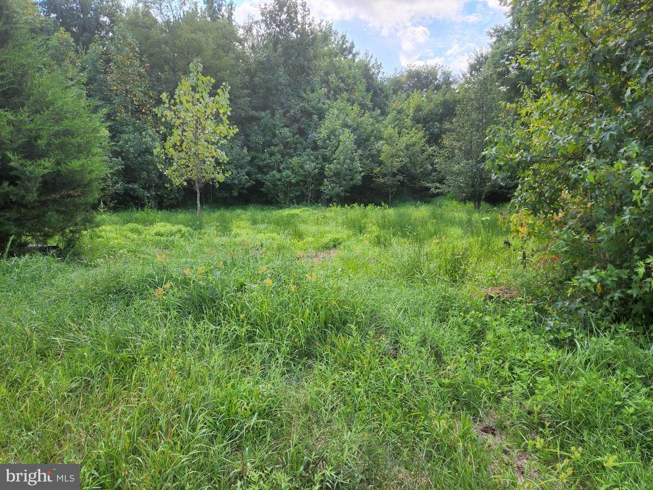 6813 Brown Wood Road - Photo 1