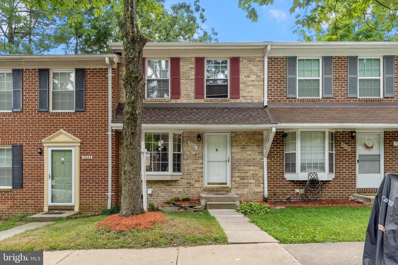 9061 Lambskin Lane - Photo 1