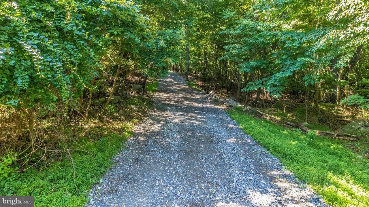 Lot 2,3,4 Remainder Edgemont Rd - Photo 1