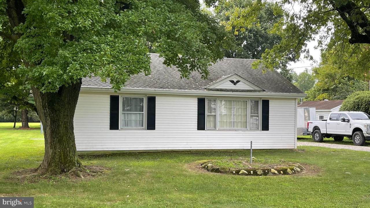 31307 Dukes Bridge Road - Photo 1