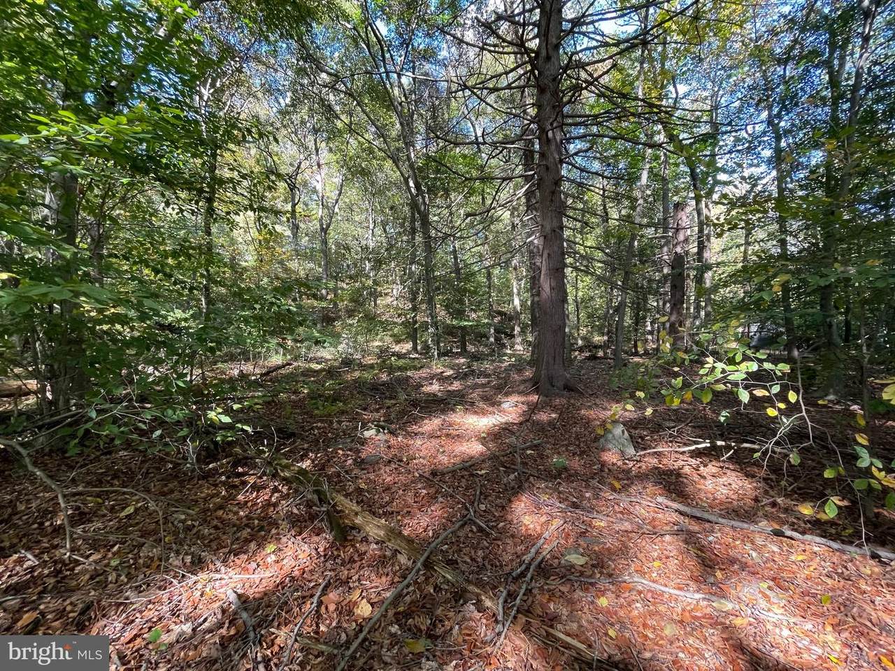465 Fairground Road - Photo 1
