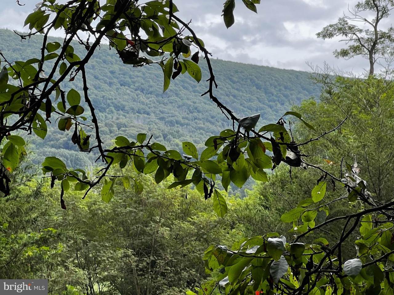 LOT 12 Howard Delawder Ln - Photo 1