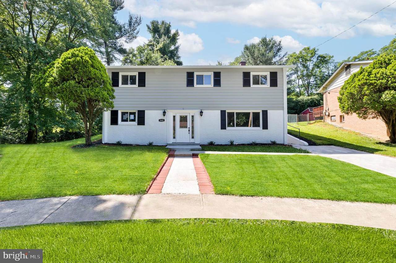 9802 Cherry Tree Lane - Photo 1
