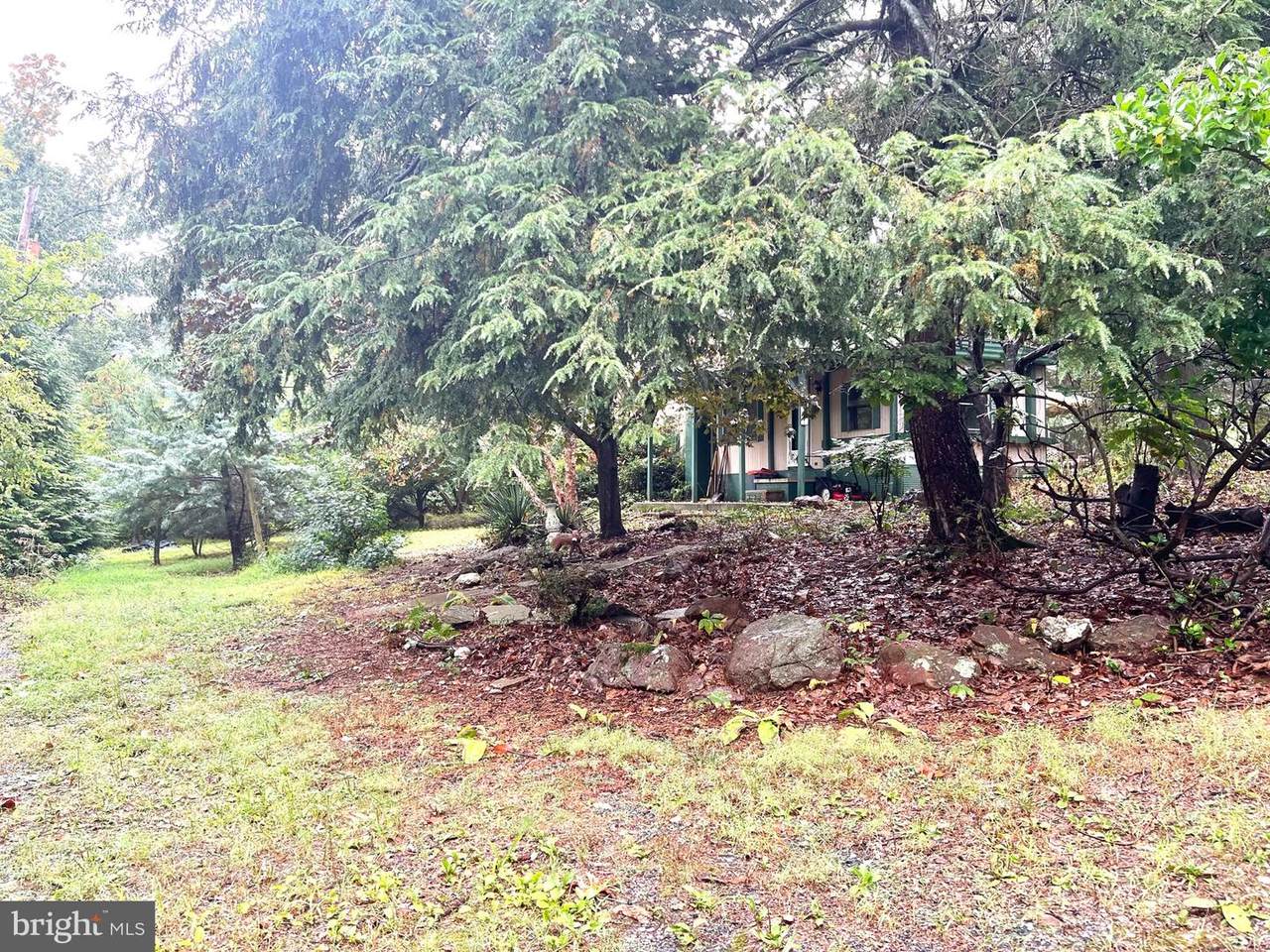 271 Maple Grove Road - Photo 1