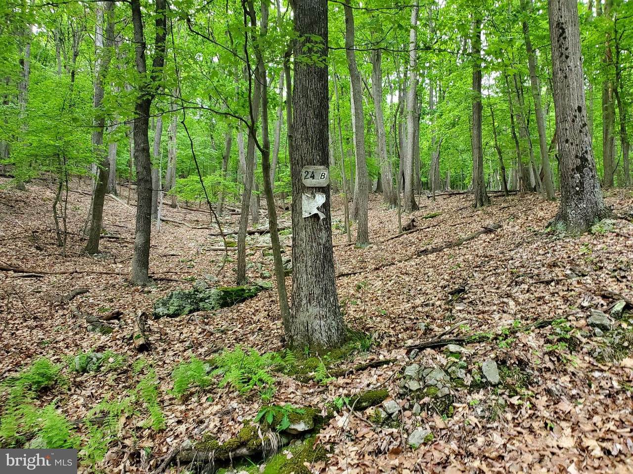 Lot 24A & 24B Cove Creek - Photo 1