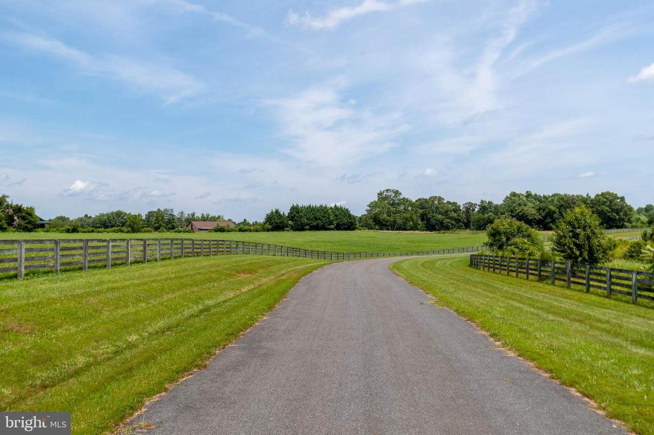 15 Lots Rose Hill Farm Estates - Photo 1