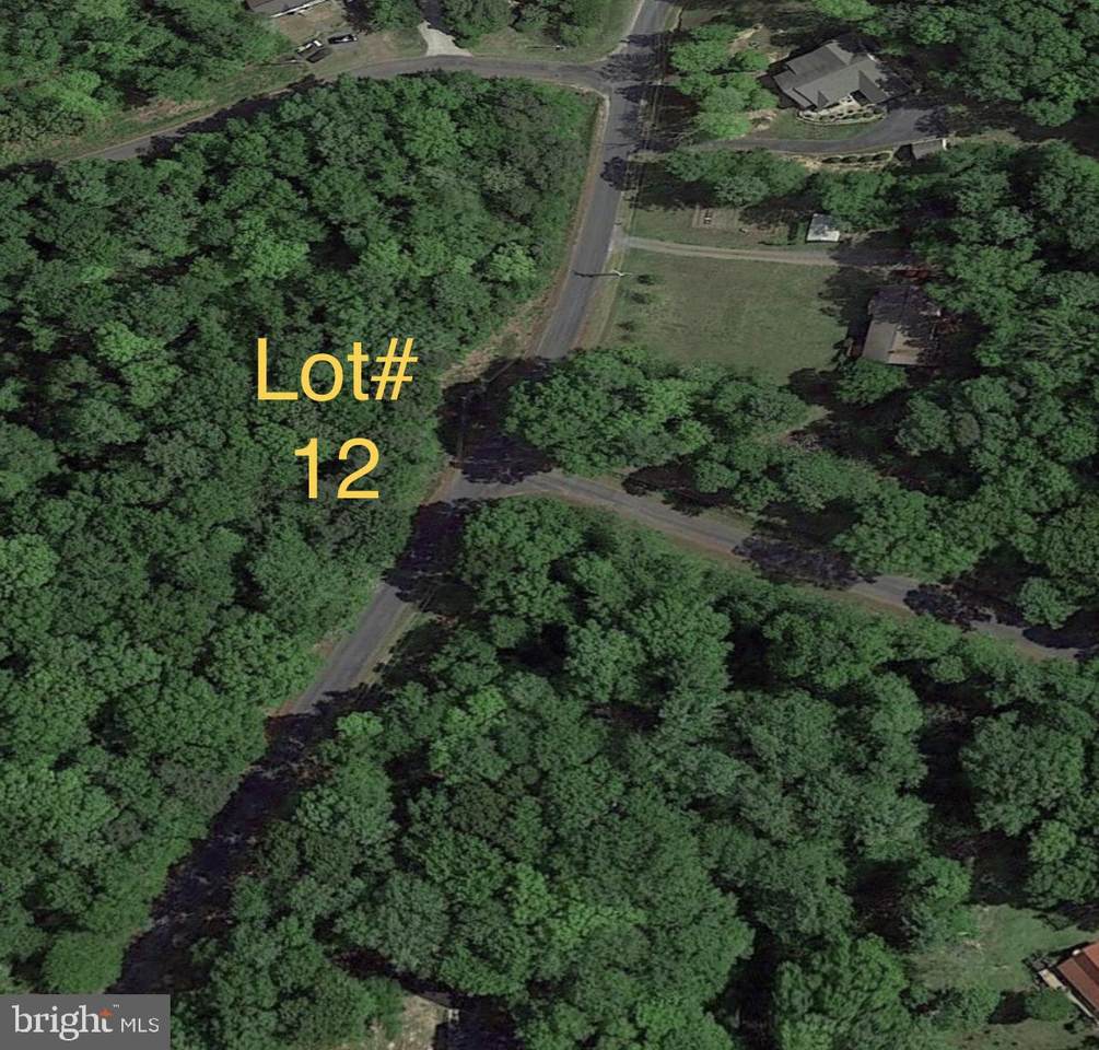 Lot #12 North Independence Drive - Photo 1