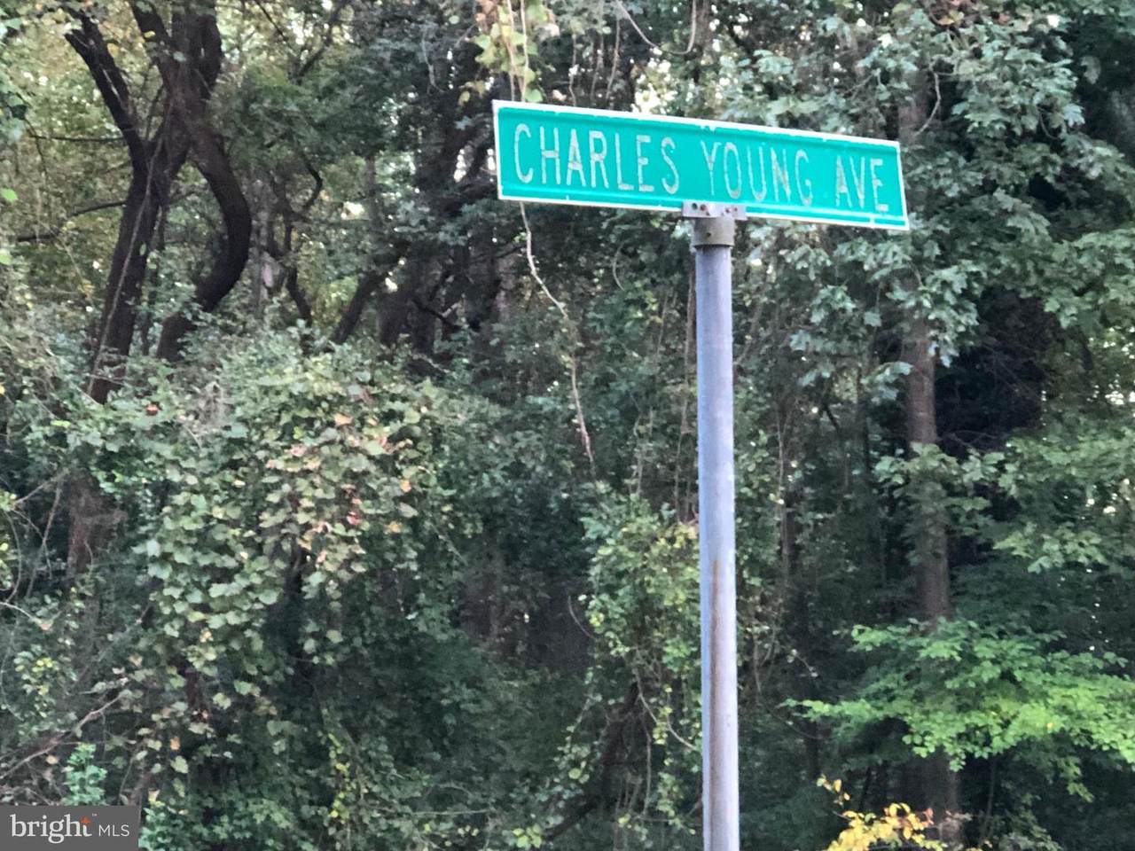 Charles Young Avenue - Photo 1