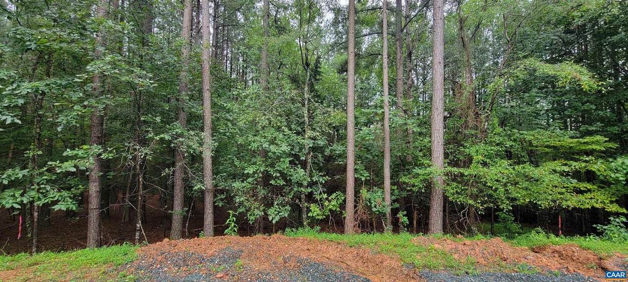 Lot 57 Old Forest Dr - Photo 1