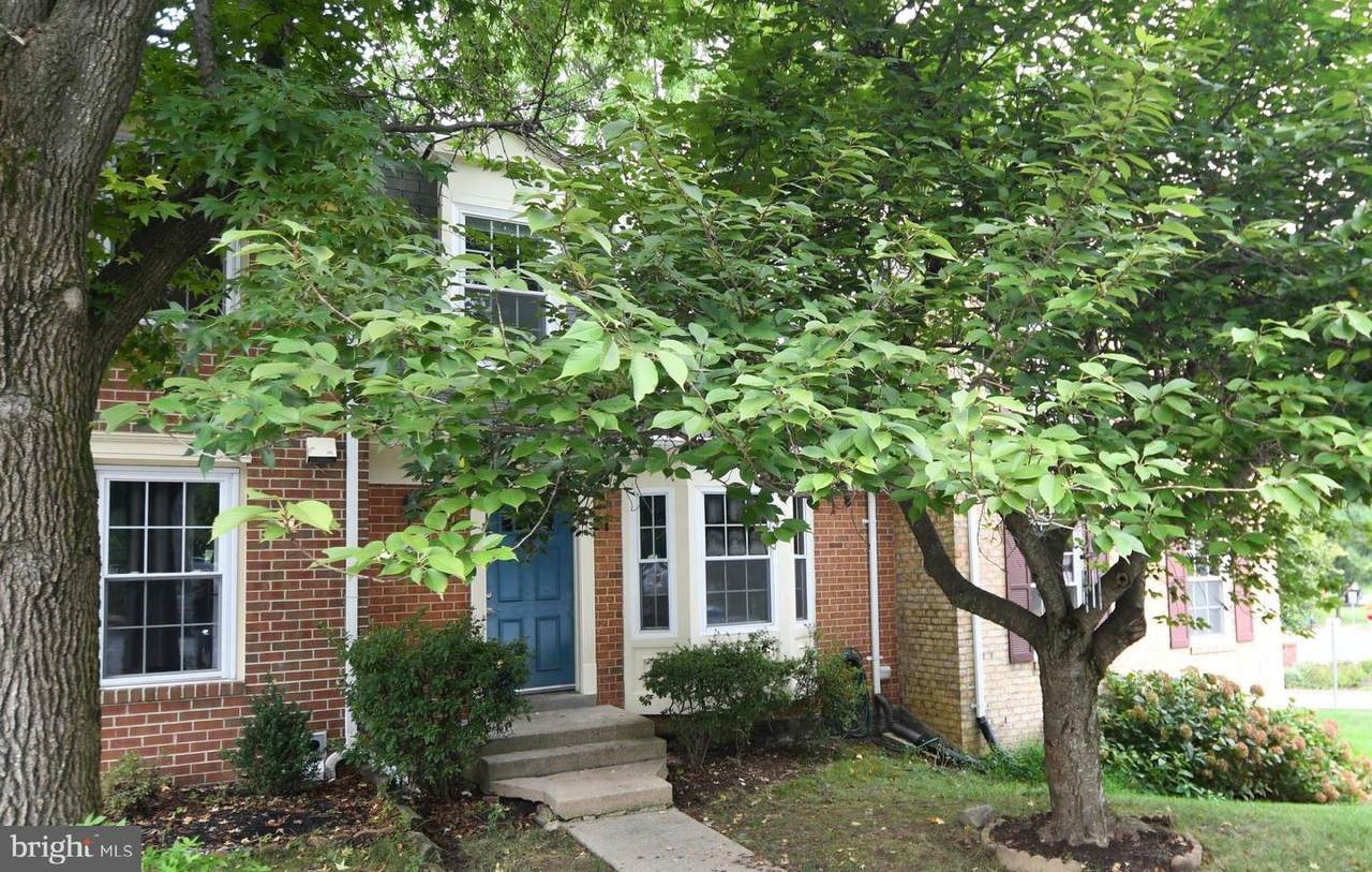 4 Cinzano Court - Photo 1