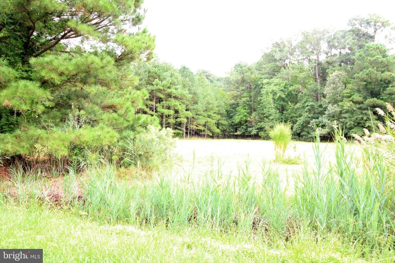 0 Fitzgerald Road - Photo 1