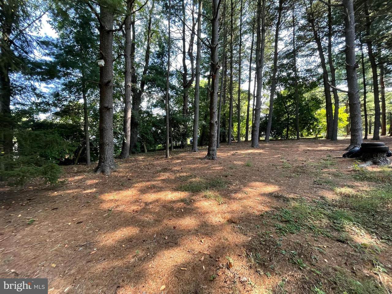 16442 Mount Tabor Road - Photo 1
