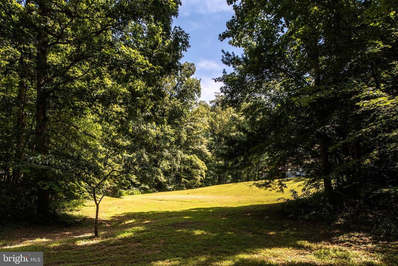 19 Tall Tree Lane - Photo 1