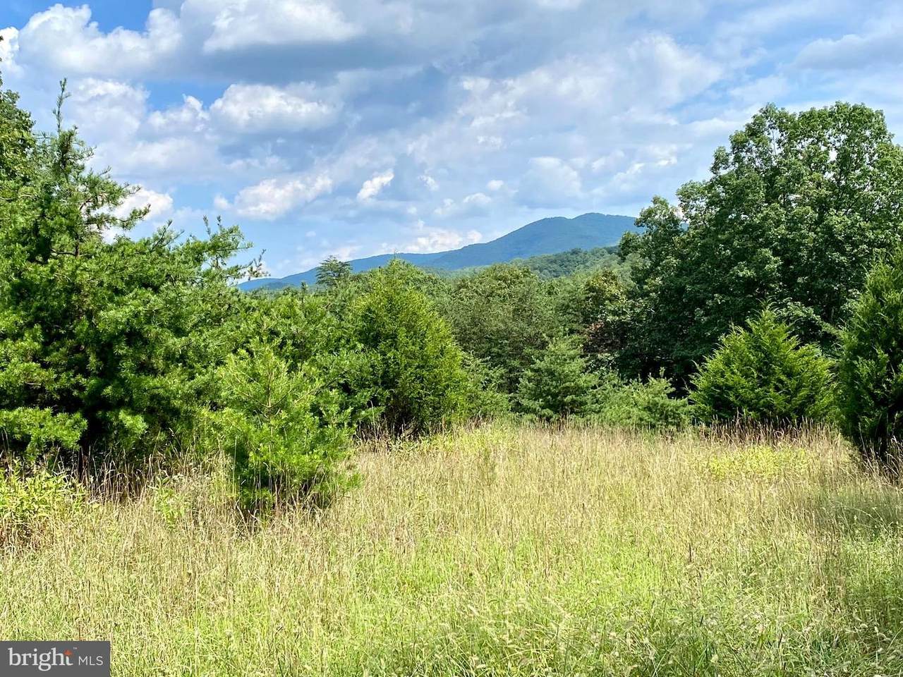 7.84 Acres Petersburg Pike - Photo 1