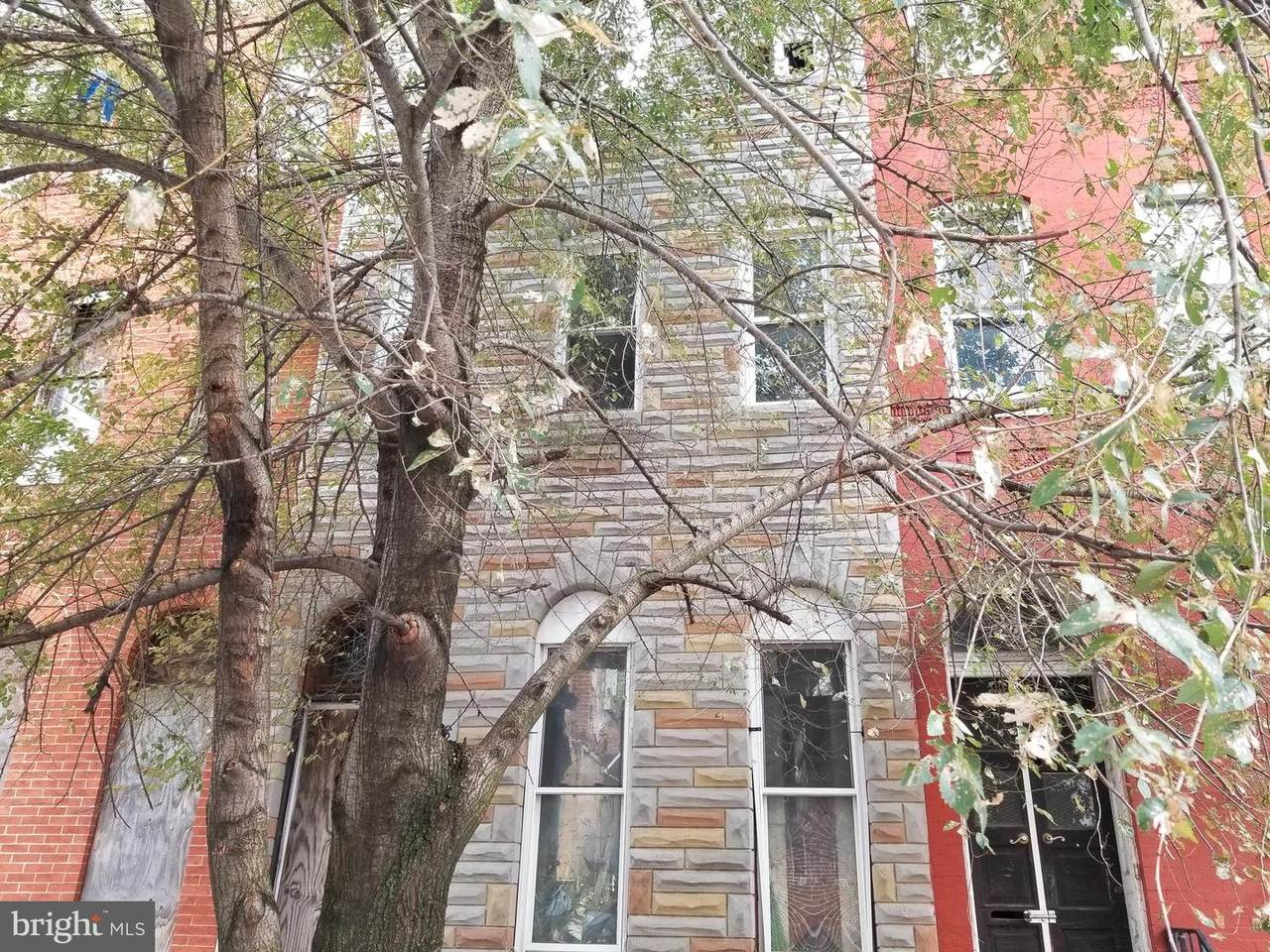 838 Carey Street - Photo 1