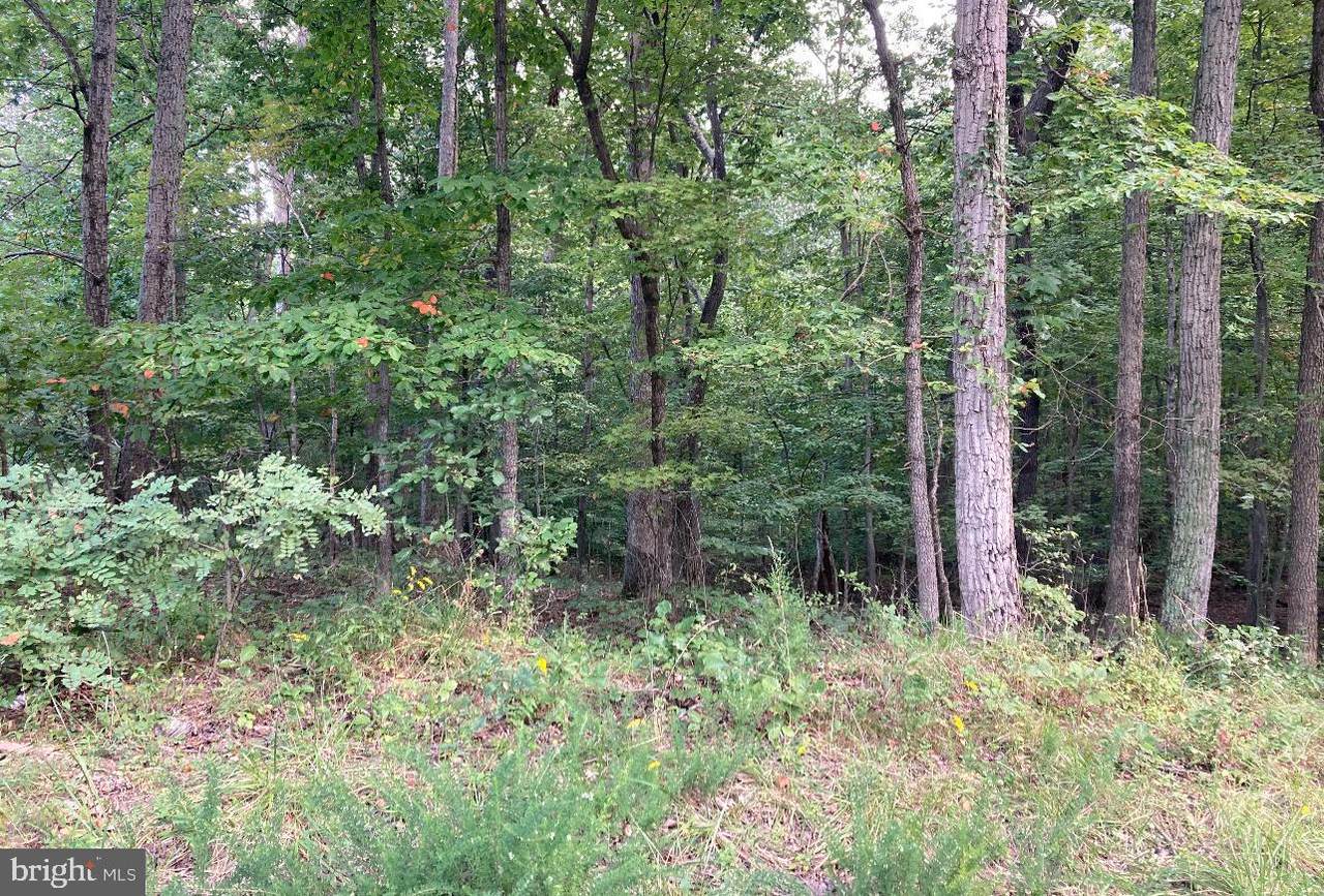 TBD Yarnell Court - Photo 1