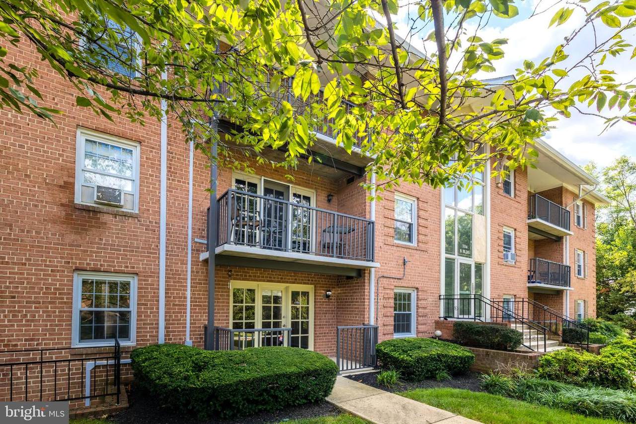 3334 Spring Lane - Photo 1