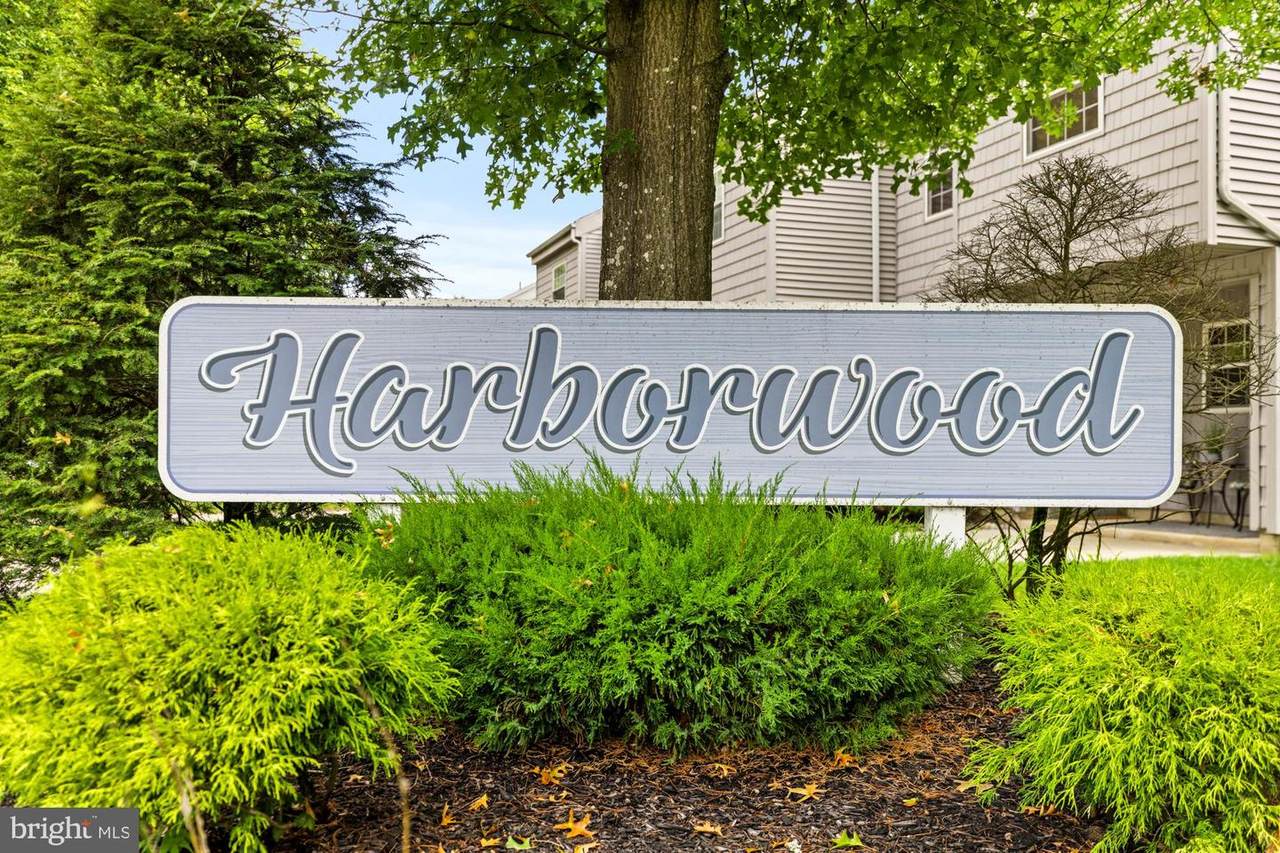22 Harborwood Drive - Photo 1