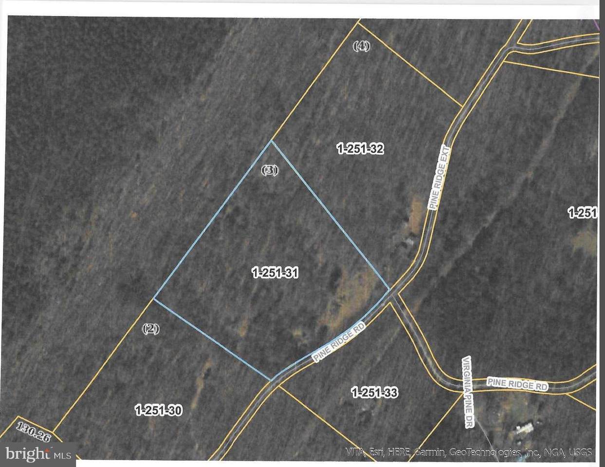 7.55 Ac. Pine Ridge Road - Photo 1