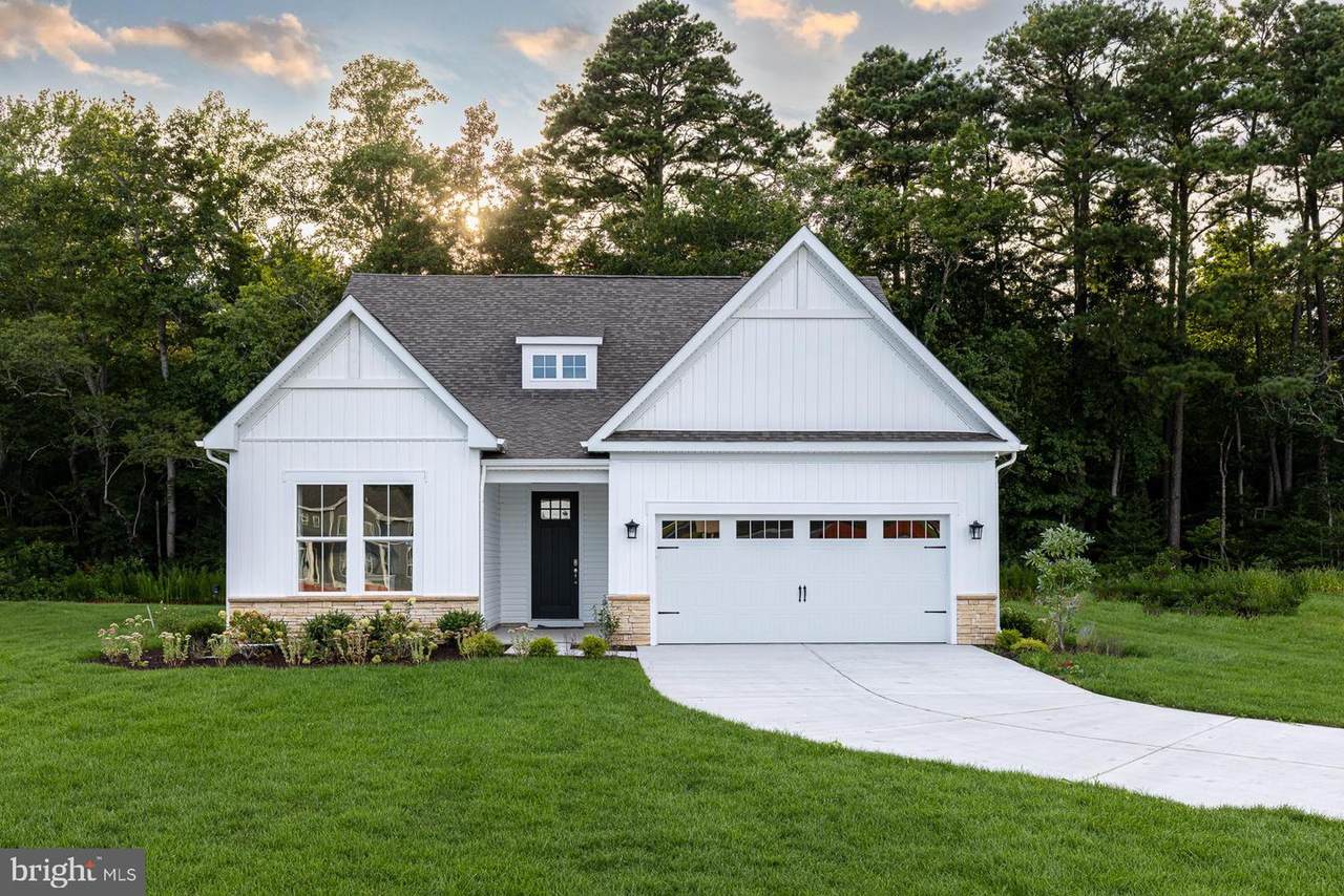 36218 Windsor Park Drive - Photo 1