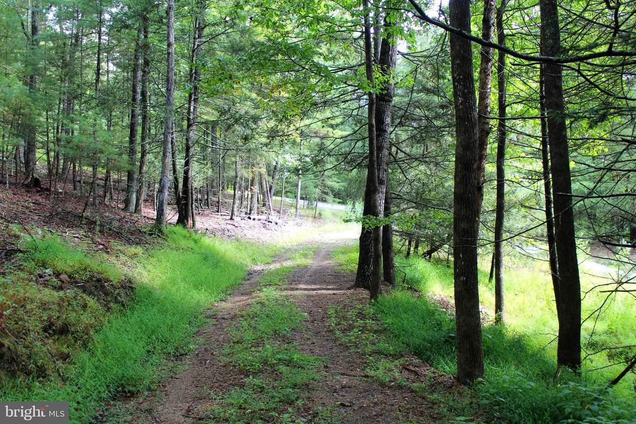 13.16 Acres Waterline Drive - Photo 1