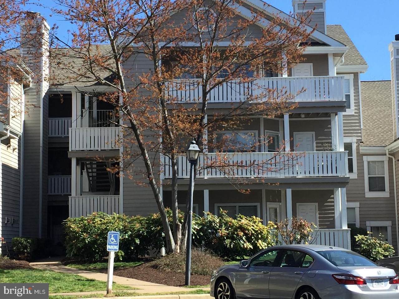 14322 Climbing Rose Way - Photo 1