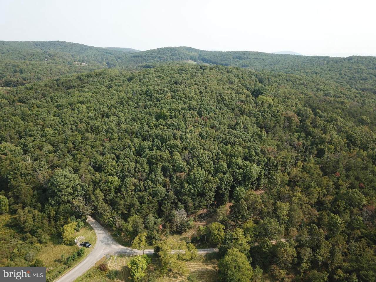 25.52 ACRES - ED ARNOLD Road - Photo 1