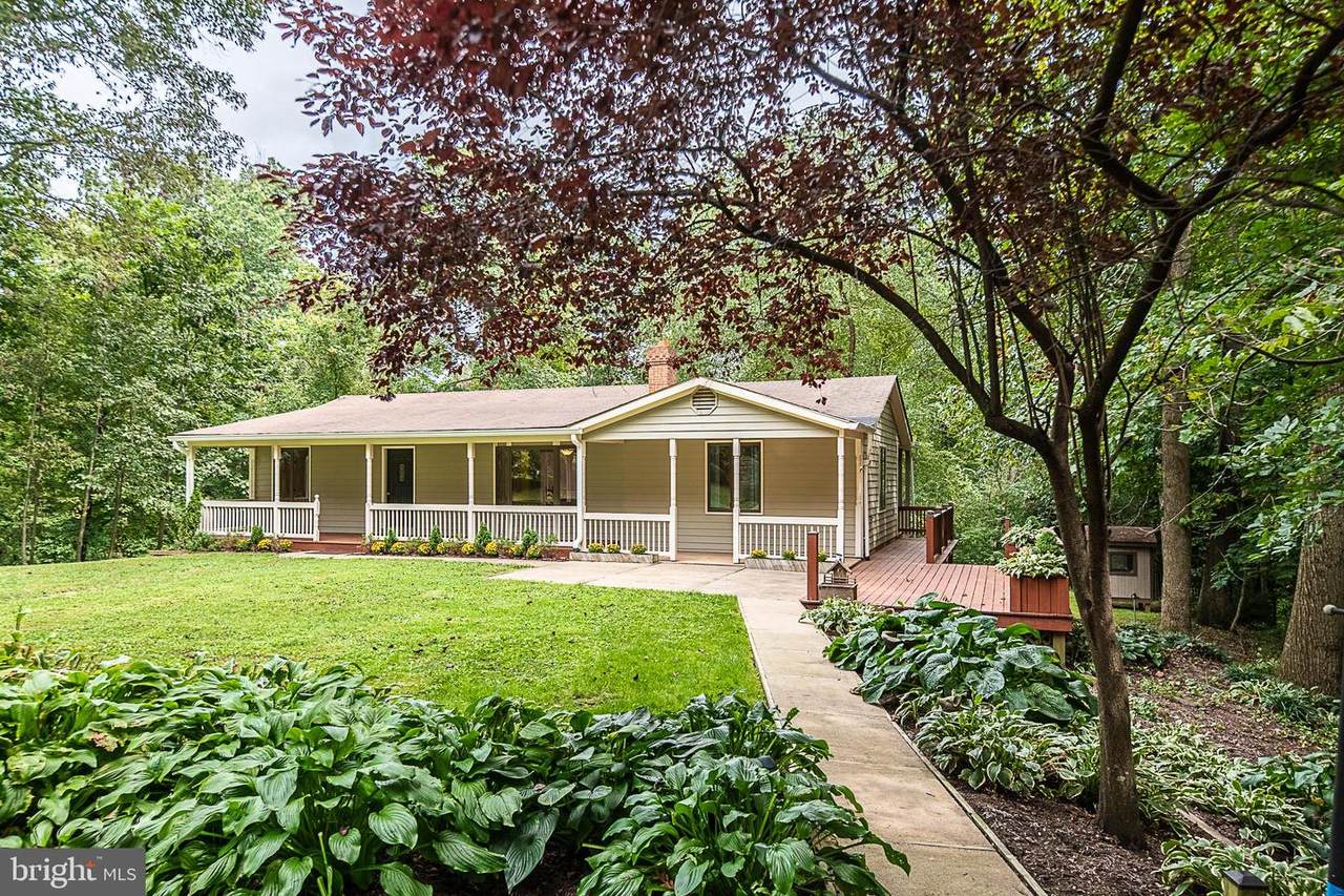 37250 Koerner Lane - Photo 1