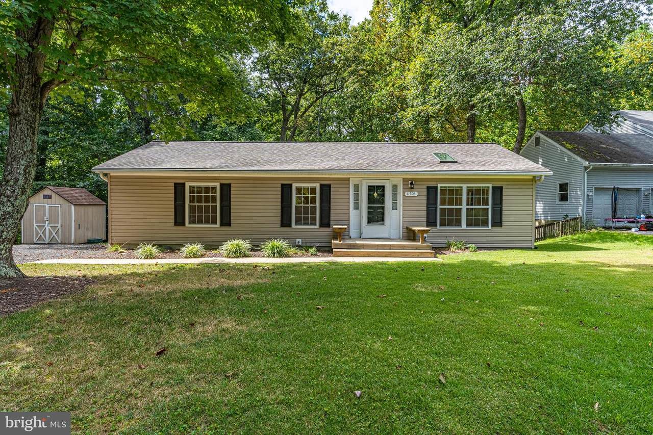 11503 Stirrup Lane - Photo 1