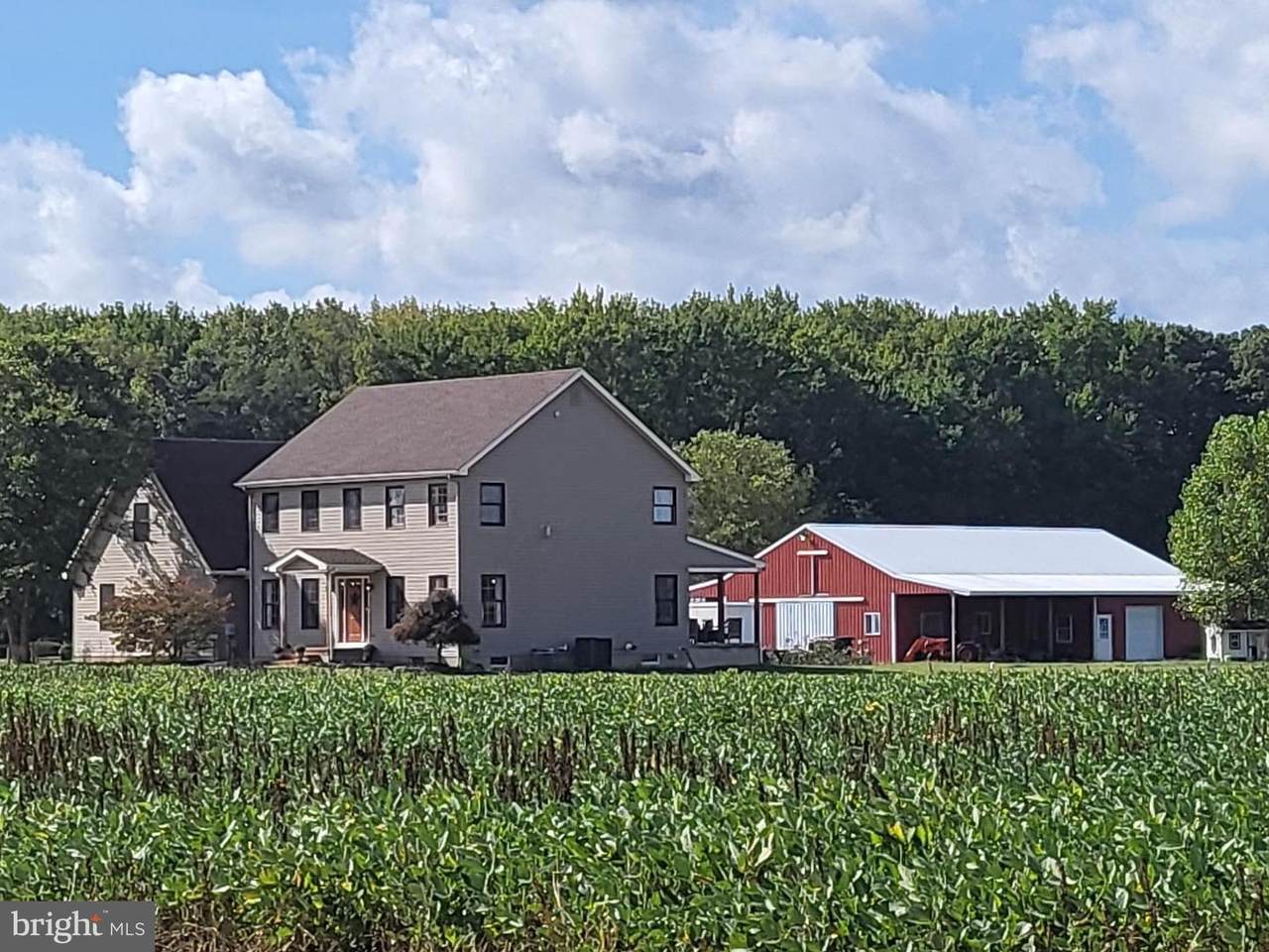 355 Ryan Road - Photo 1